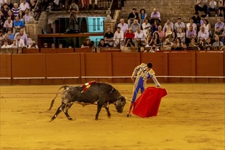 Matador with muleta and espada with running bull