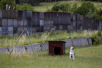Dog run on the former German-German border