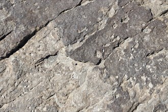 Stone pattern in a dry riverbed