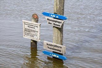 Water level indicator