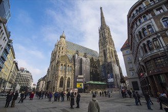 The Stephansdom in Vienna