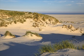 Dunes in the evening light with view of the Kniepsand and the sea