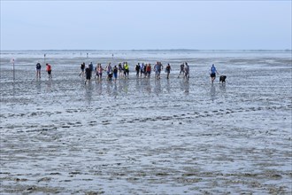 A group of hikers at low tide in the mudflats