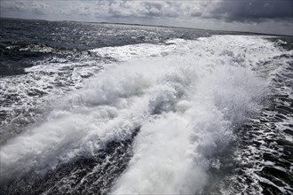 The passenger ship Adler Express travels at high speed through the North Sea