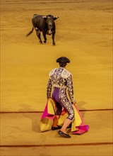 Banderillero with capa in front of bull