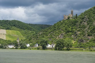 Castle Maus overlooking the Rhine river