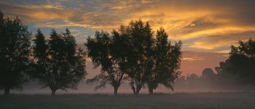 Morning atmosphere in the meadows of the river Lippe