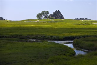 The Kirchwarft with marshland and drainage ditches