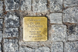 Stumbling stone in memory of Dr. Max Rauschmann
