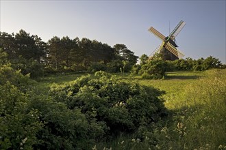 Landscape with windmill of the construction type Kellerhollaender