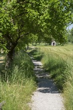 Meadow path in the Franconian Open Air Museum