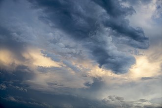 Cloud formation cumulus cloud (Cumulus) in front of sunset