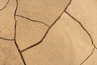 Cracks in the clay soil