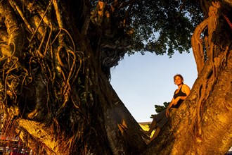 Girl standing in a giant old tree at sunset in downtown Apia