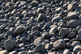 Rounded stones on the beach
