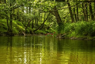 The bank of the Brda river near the village of Sapolno. Kashubia