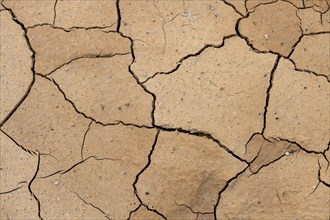 Cracks in the clay soil