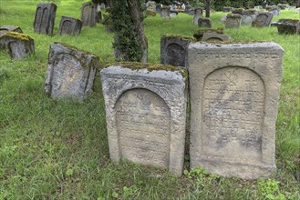 Gravestones at a Jewish cemetery