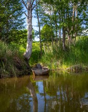 The bank of the Brda river near the village of Sapolno. Kashubia