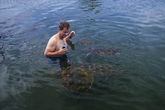 Tourists playing with turtles in the Satoalepai turtle lagoon
