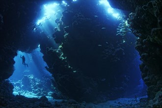 Sunbeams shining through reef top in cave in coral reef with diver