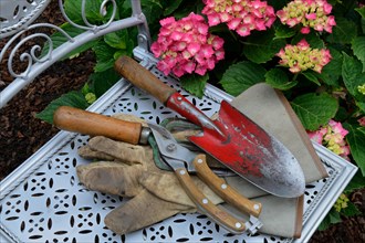 Garden tools on garden chair and flowering hydrangeas