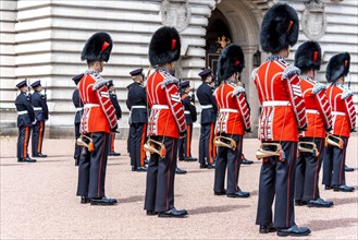 Guards of the Royal Guard with bearskin cap