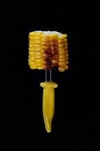 Grilled corn on the corn cob on a corn on the cob holder