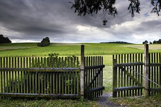 Wooden fence with open wooden gate
