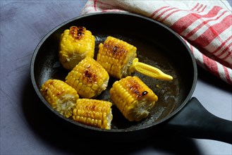 Fried corn on the corn cob in pan