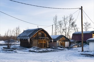 Coal dusted snow