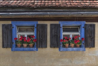 Window with geraniums of a crofter's house/vintner's house