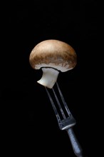 Brown cultivated mushroom on fork