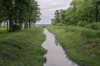 River flowing into the Vistula Lagoon in Tolkmicko