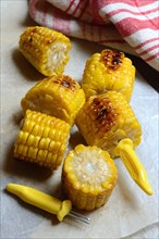Roasted corn on the corn cob with corn on the cob holder