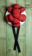 Original Black Forest Bollen hat in front of green wooden wall