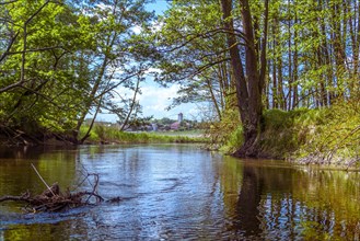 The bank of the Brda river near the village of Sapolno. Kashubia