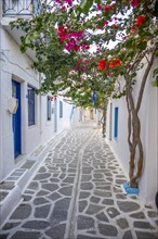 Alley with Cycladic houses