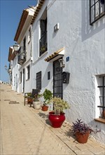 Colorful flowerpots outside white houses of Altea Old Town