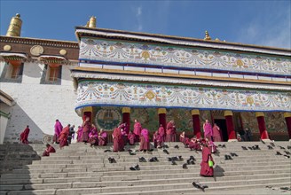 Tibetan monks in robes of the Gelukpa order sitting on the steps in front of the assembly hall