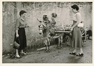 Holiday in 1954: Two young German tourists with a donkey cart