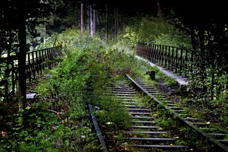 Railway tracks in the Eckertal valley