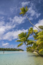 White sand and palm fringed beach in Aitutaki lagoon