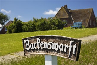 The Backenswarft