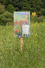 Flowering strips as habitat for small animals and insects on agricultural land with advertising poster for colourful diversity