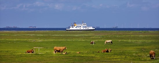 Animals on a Fenne with a ship on the North Sea in the background