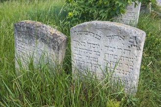 Jewish cemetery in Buchach