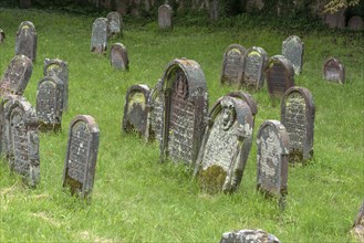 Historic Jewish cemetery