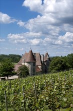 Chareil-Cintrat castle in the vineyards of Saint-Pourcain