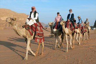 Tourists take guided camel ride on Dromedary